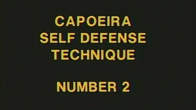 Reis and Santos - Self-Defense Techni...