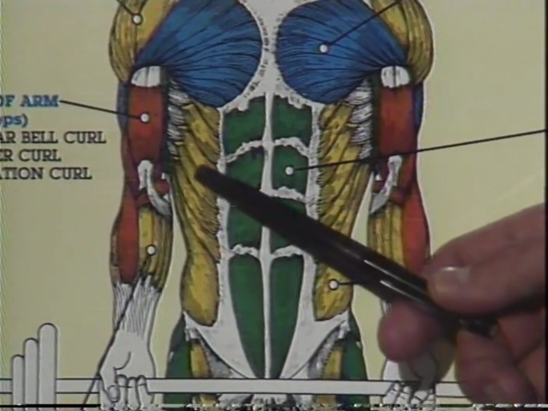 Story of a Body Building Superstar Vol 9