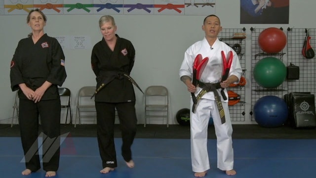 Ernie Reyes Jr. - Triple Kick Progression Using Paddles