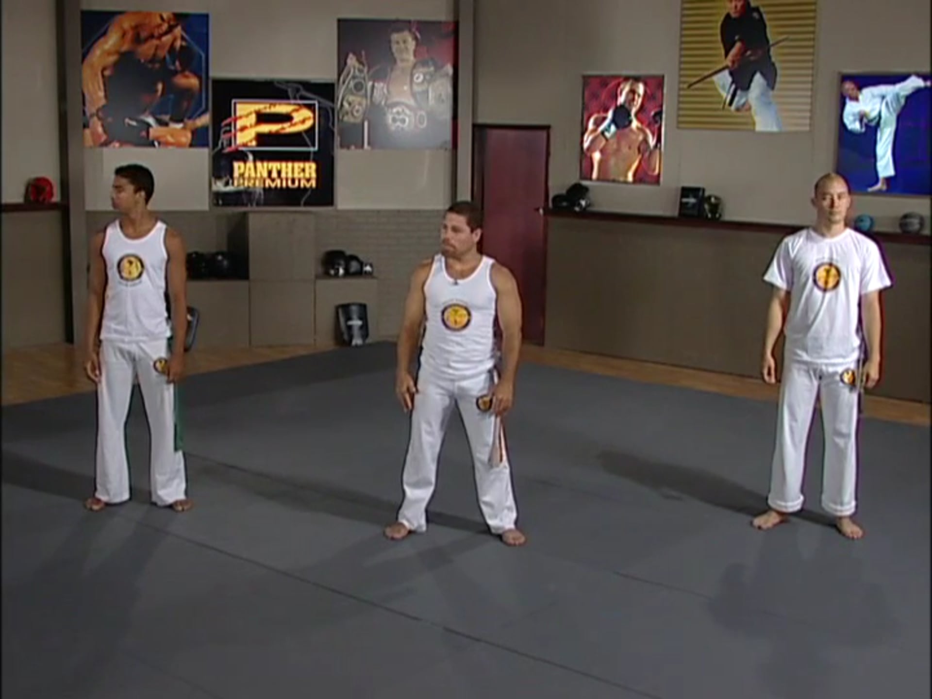 Mestre Barrao - Intermediate Level Training