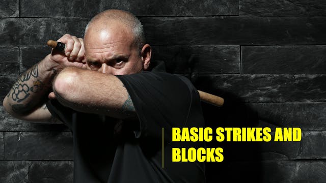3 Basic strikes and blocks