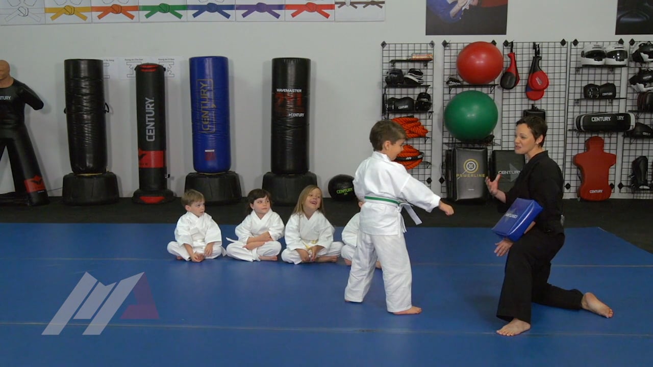 Melody Shuman - Beat the Bully