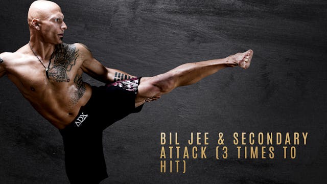 Bil Jee & Secondary Attack - Bil Jee vs Punches - Bil Jee vs Hook or Swing