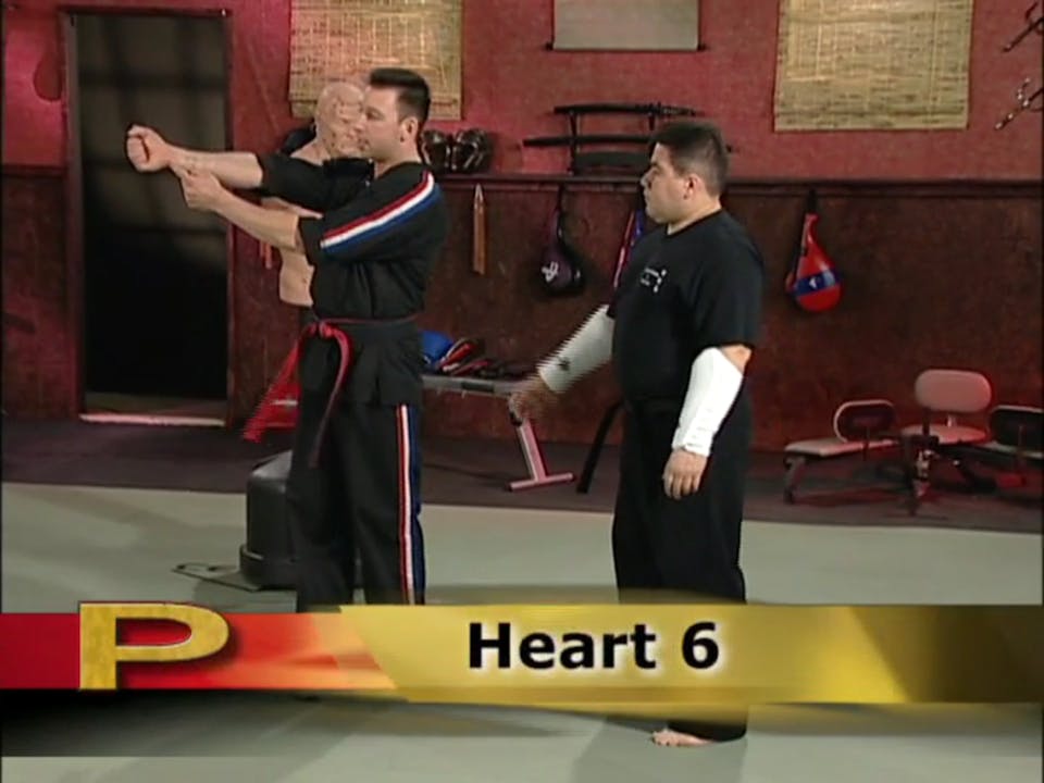 Scott Rogers Pressure Point Knockouts and Simple Attacks Black Belt