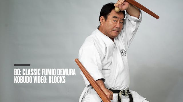 Bo: Classic Fumio Demura Kobudo Video: Blocks