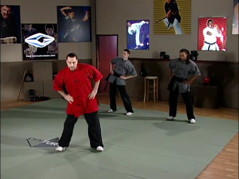 Ron Succarotte - Wushu Basics