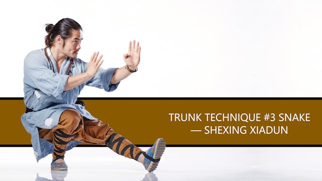Trunk Technique #3 Snake — Shexing Xi...