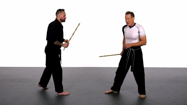 Single Stick Fighting - 9 Disarm Techniques 