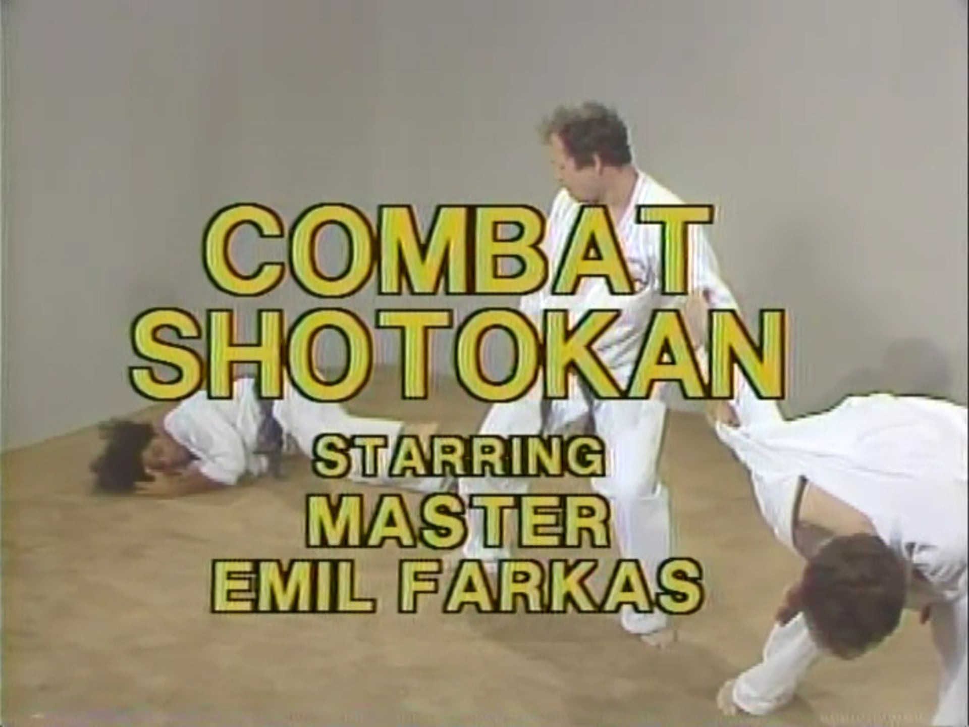 Emil Farkas - Kicking Techniques