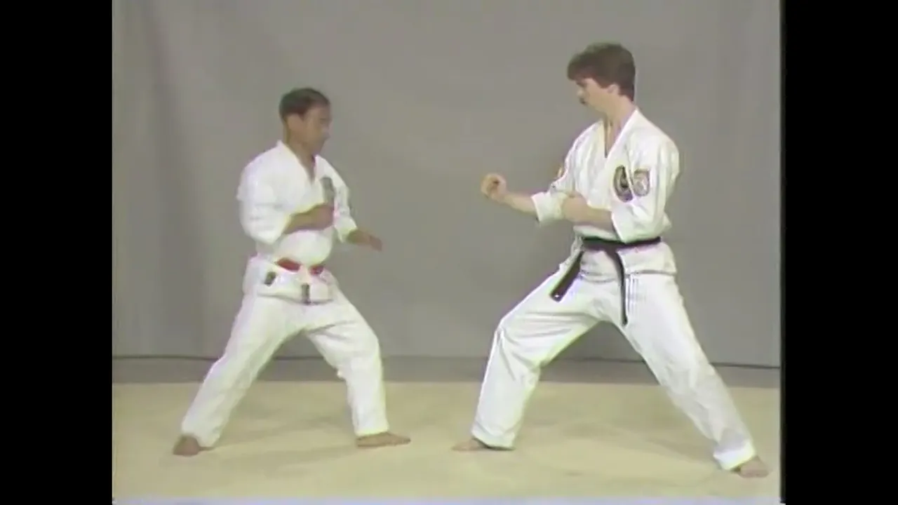 Isshin Ryu Sparring - Black Belt Drills