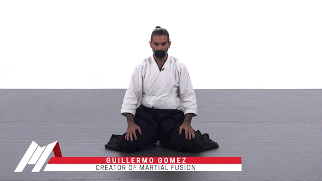 Guillermo Gomez - Why Aikido