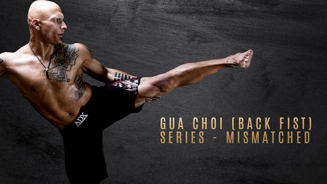 Gua Choi (Back Fist) Series - Mismatched