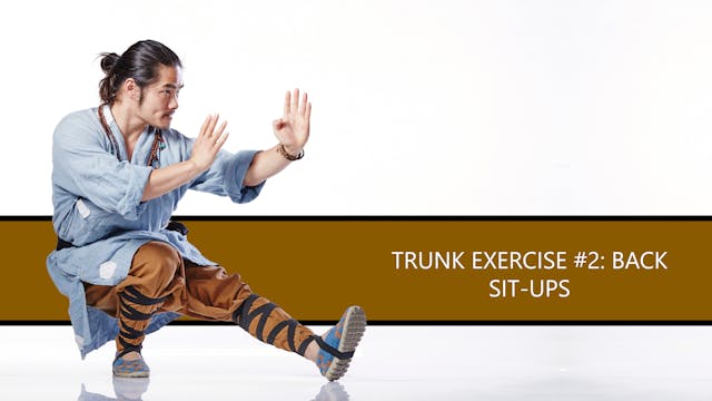Trunk Exercise #2: Back Sit-Ups