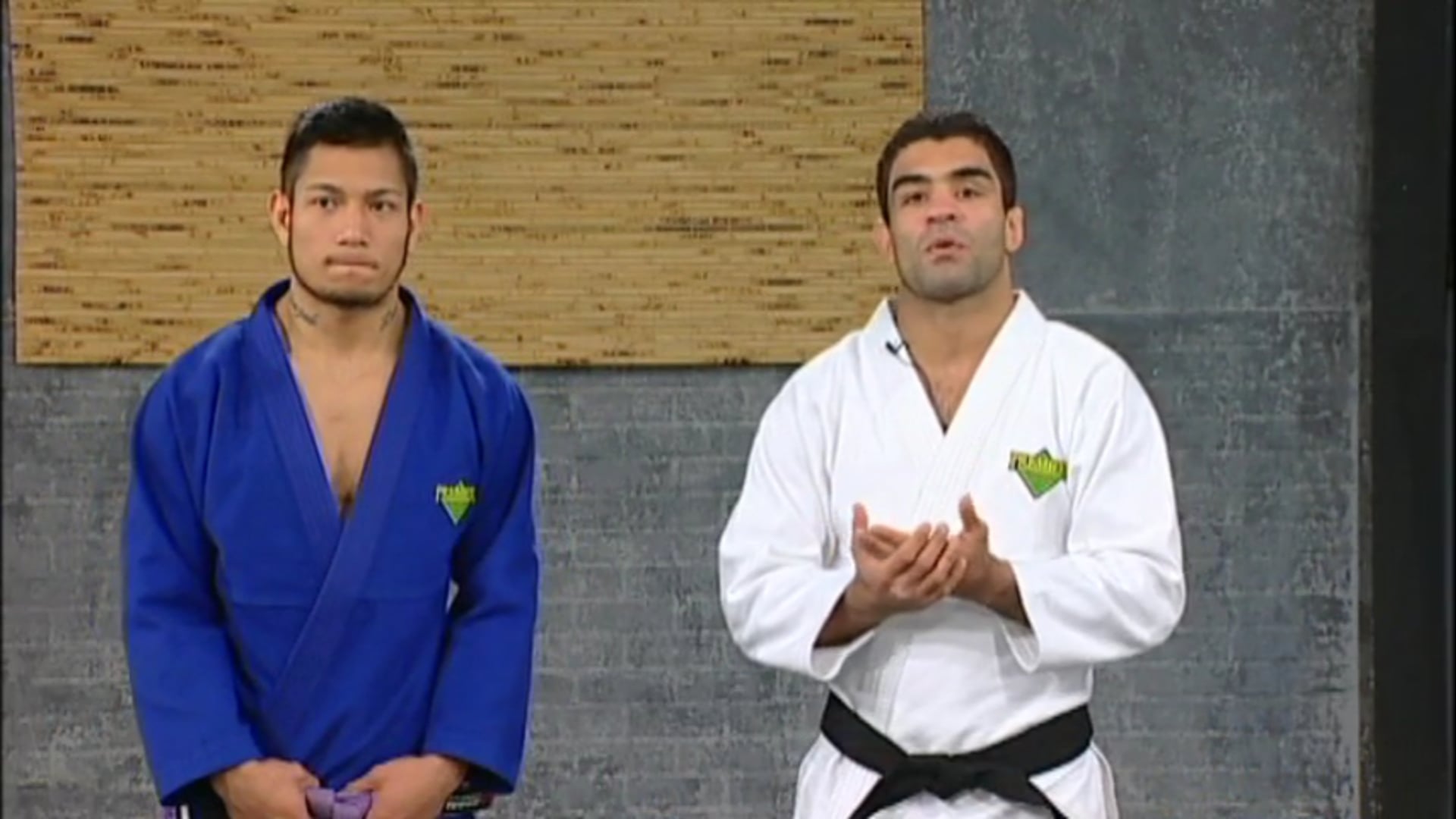 Vitor Ribeiro - Side Control