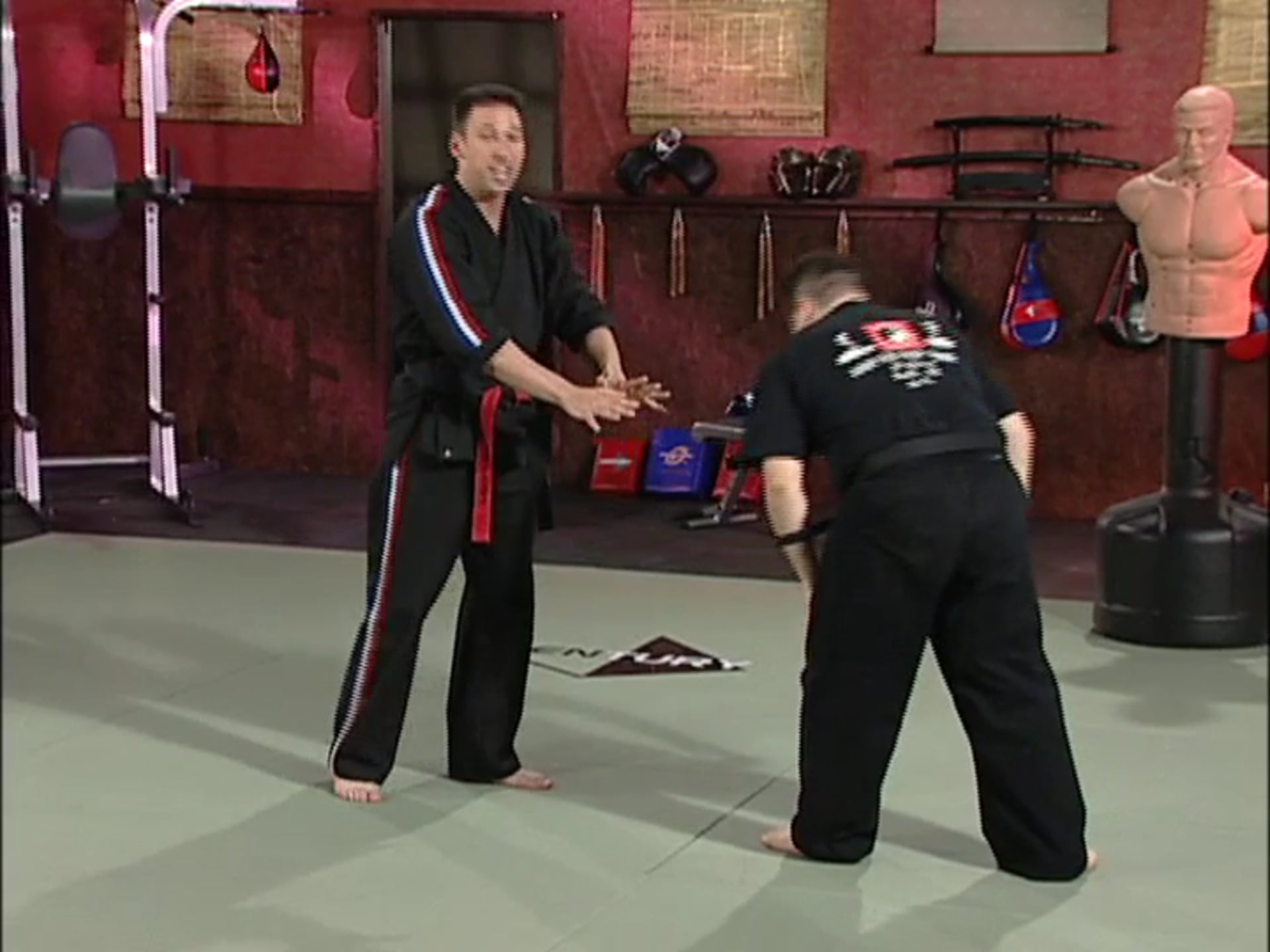 Scott Rogers - Pressure Points and Grappling