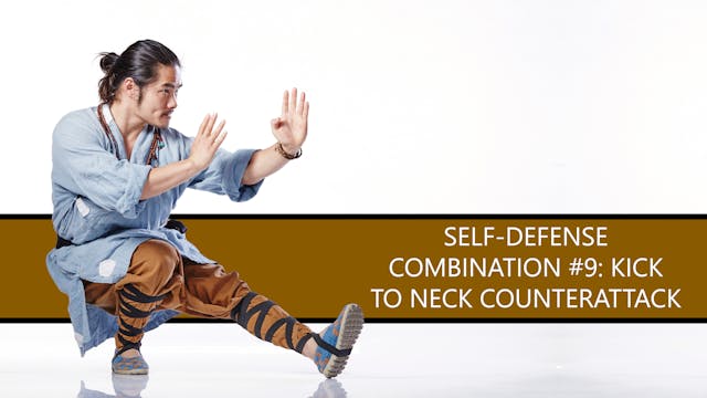 Self-Defense Combination #9: Kick to Neck Counterattack