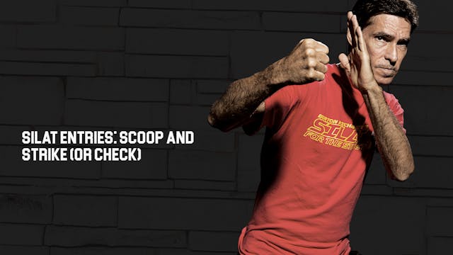 Silat Entries: Scoop and Strike (or Check)