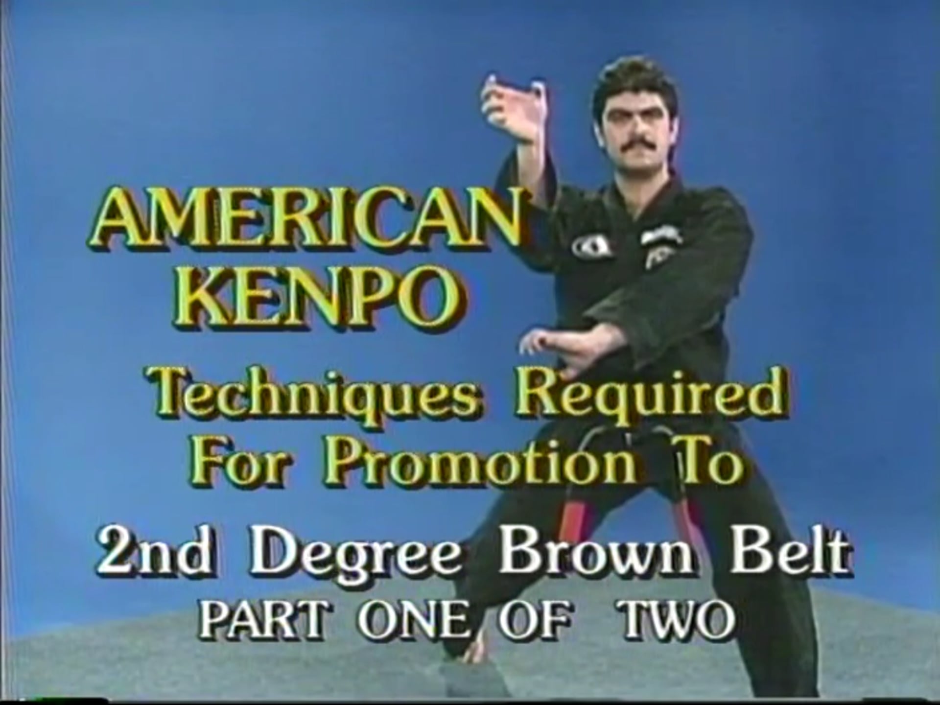 Mohamad Tabatabai - 2nd Degree Brown Belt Self-Defense 1