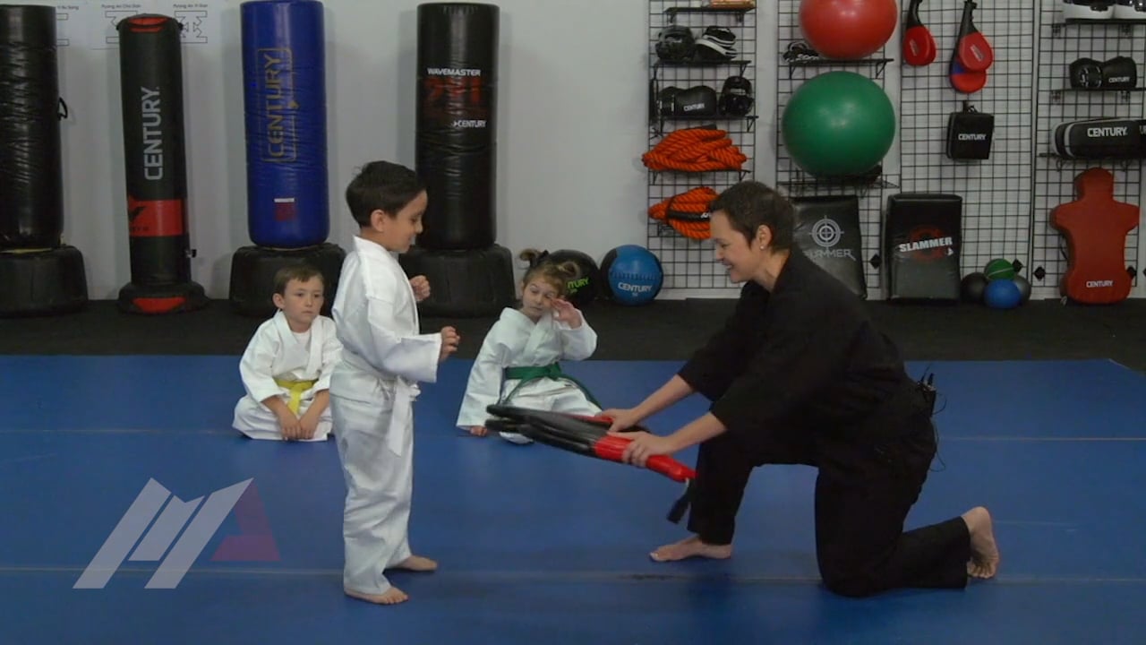 Melody Shuman - Ninja Kicks