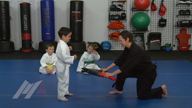 Melody Shuman - Ninja Kicks