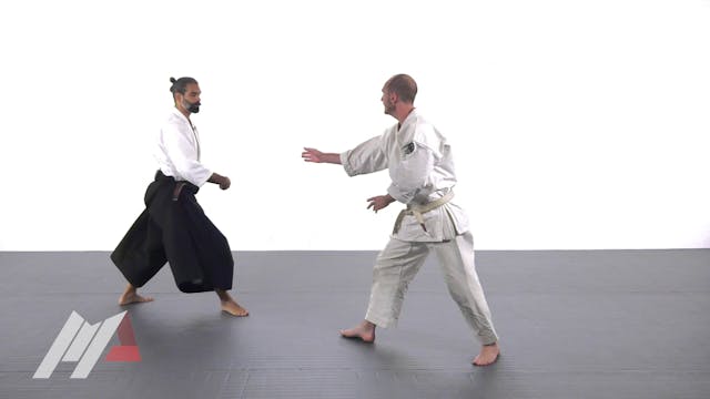 Guillermo Gomez - Aikido Tai Sabaki F...