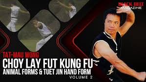 Kung Fu & Tai Chi