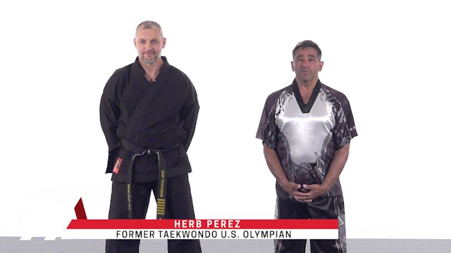 Herb Perez - Counters to Open Stance Attacks