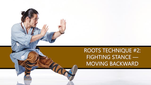 Roots Technique #2: Fighting Stance — Moving Backward