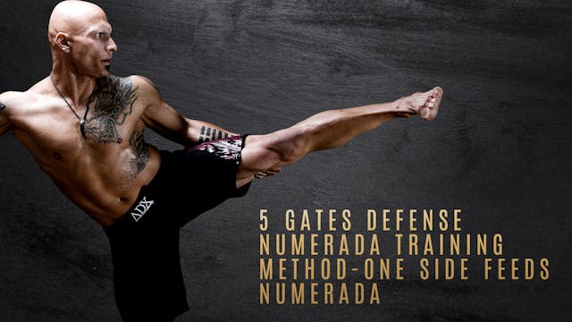 5 Gates Defense - Numerada Training Method - One Side Feeds - Numerada