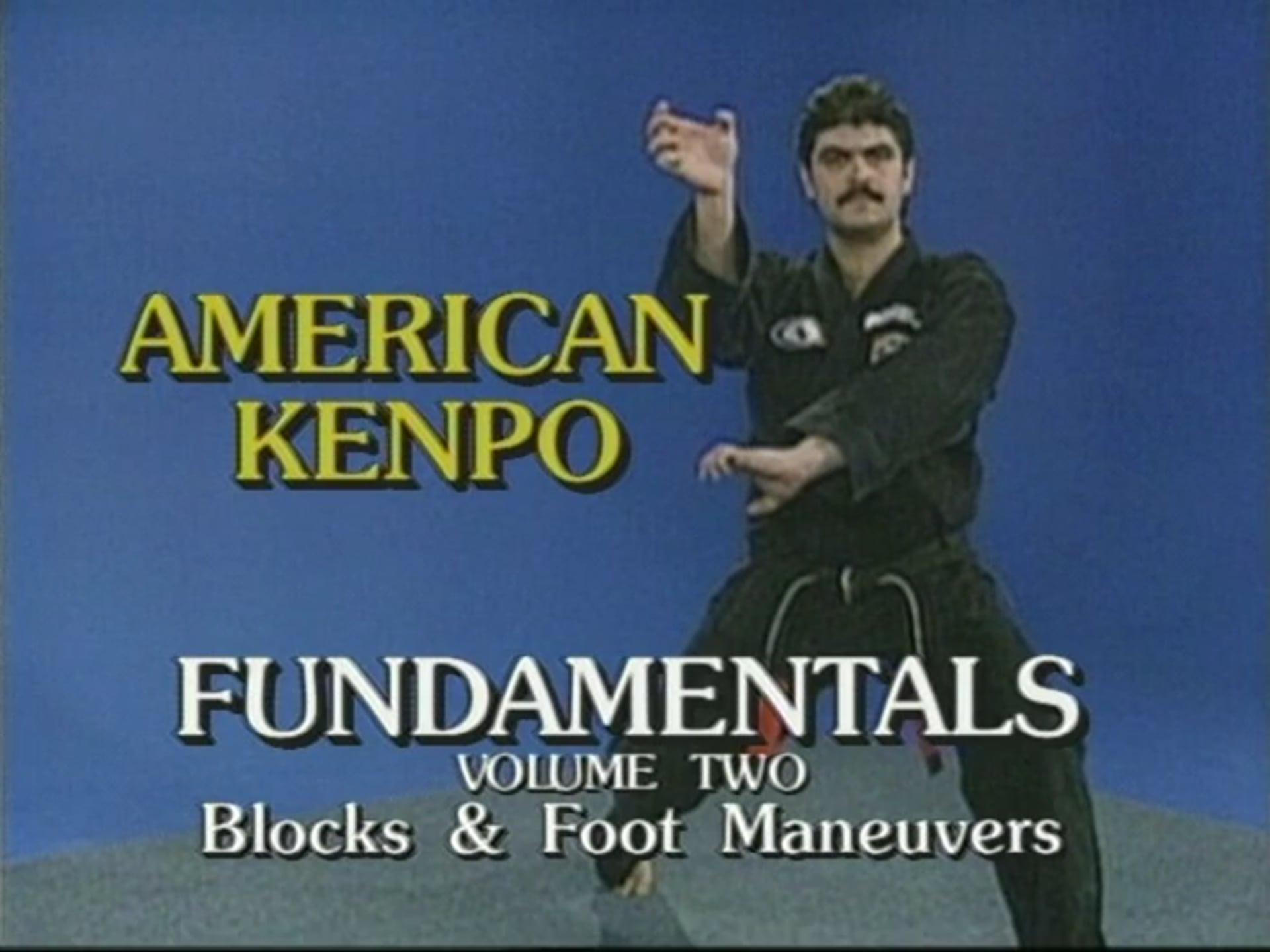 Mohamad Tabatabai - Fundamentals 2 - Blocks and Foot Manuevers