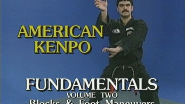 Mohamad Tabatabai - Fundamentals 2 - Blocks and Foot Manuevers