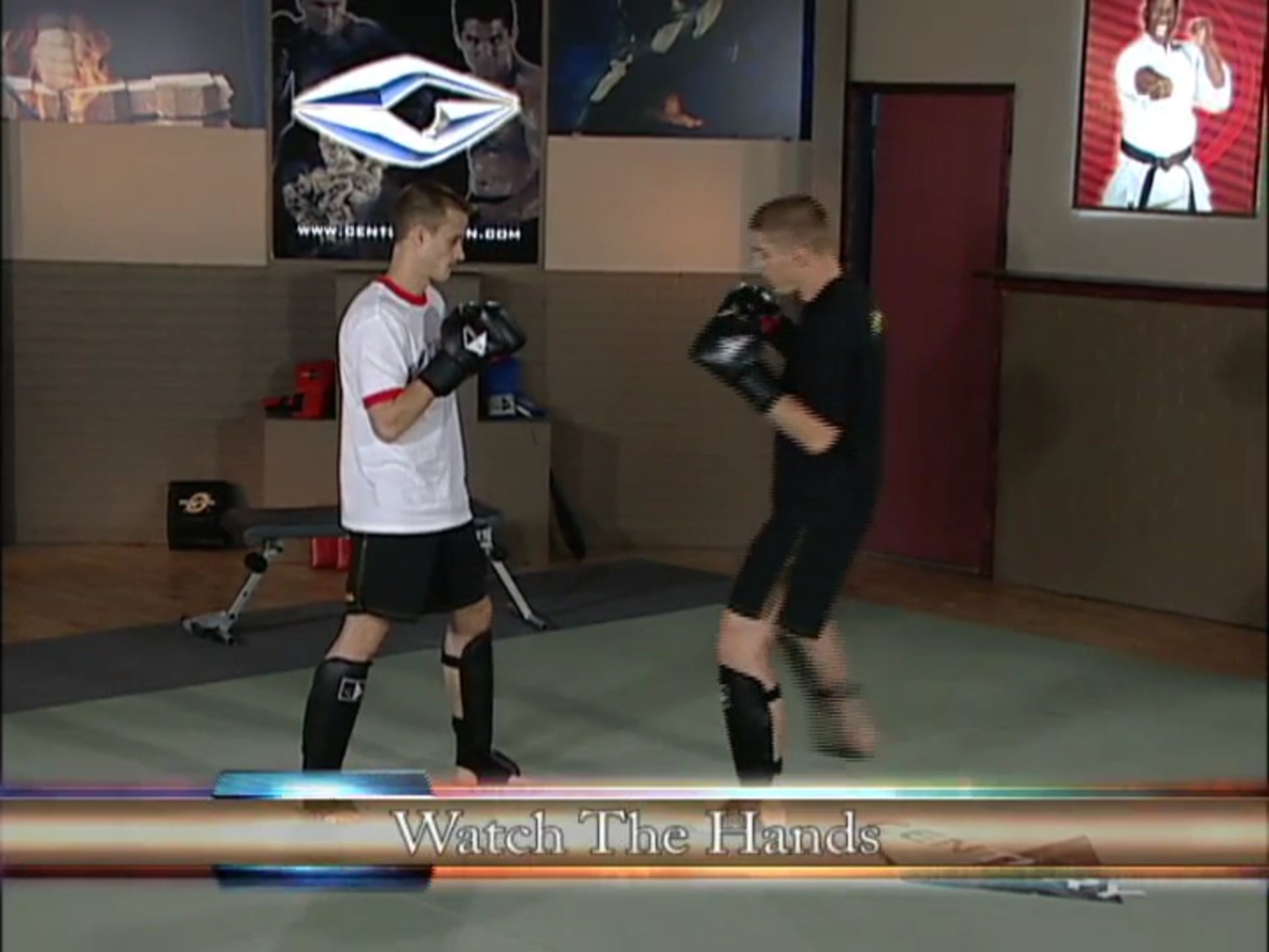 Duane Ludwig - Advanced Kicks