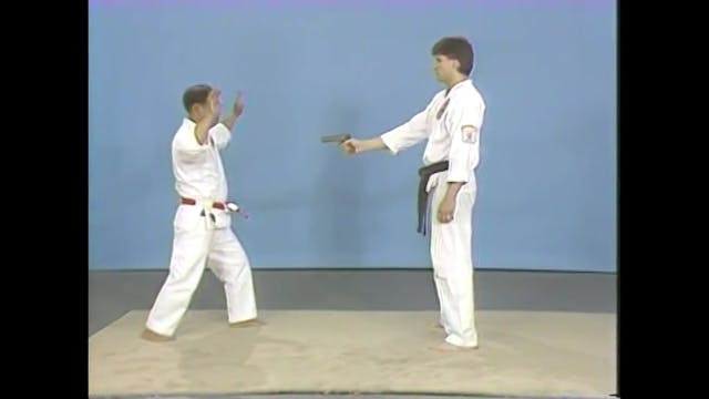 Isshin Ryu Self- Defense II
