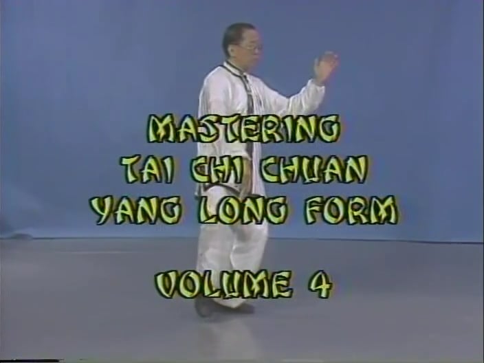 Daniel Lee - Tai Chi Yang Long Form 4