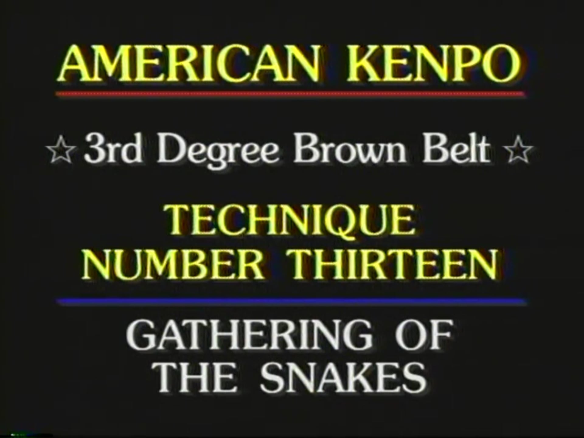 Mohamad Tabatabai - 3rd Degree Brown Belt Self-Defense 2