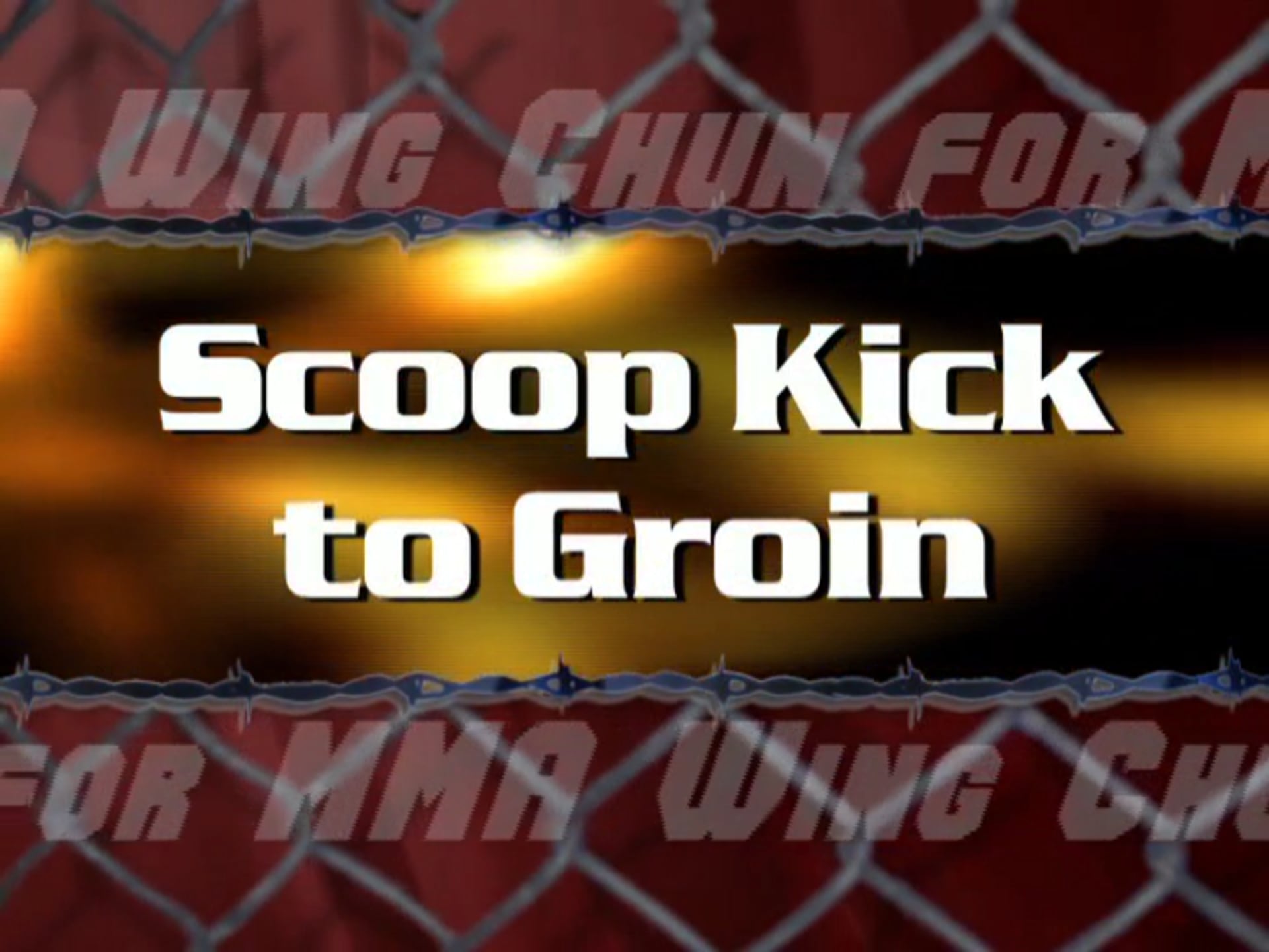 Dave Durch - Kicking Basics