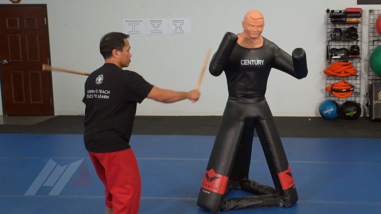 Apolo Ladra - Heaven and Earth