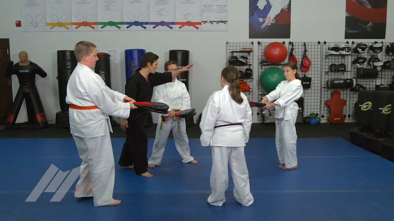 Melody Shuman - Memory Kicks