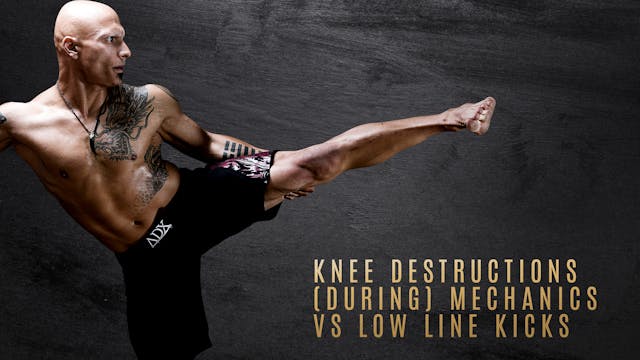 Knee Destructions (During) Mechanics vs Low Line Kicks