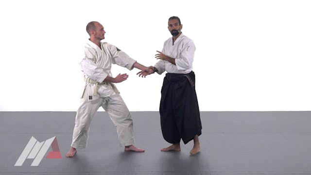 Guillermo Gomez - Aikido Advanced Tai...