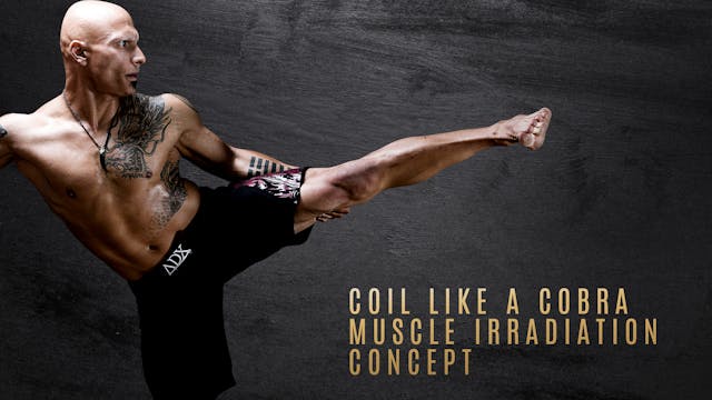 Stance- Coil Like a Cobra - Muscle Irradiation Concept