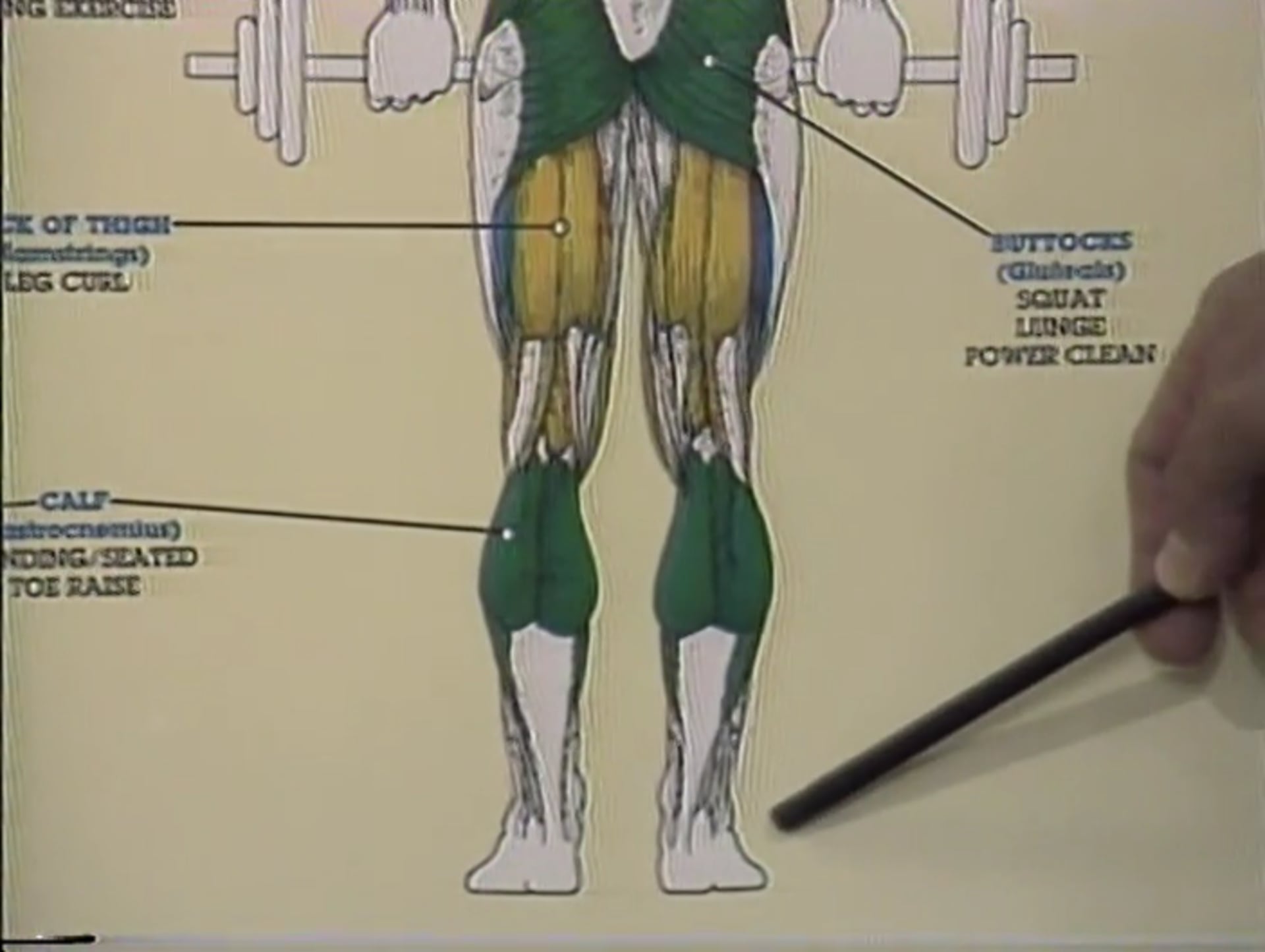 Story of a Body Building Superstar Vol 6