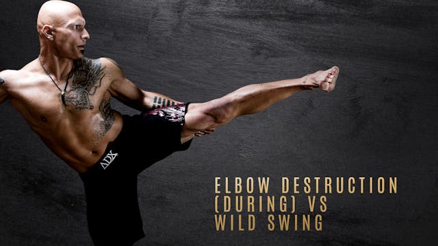 Elbow Destruction (During) vs Wild Swing