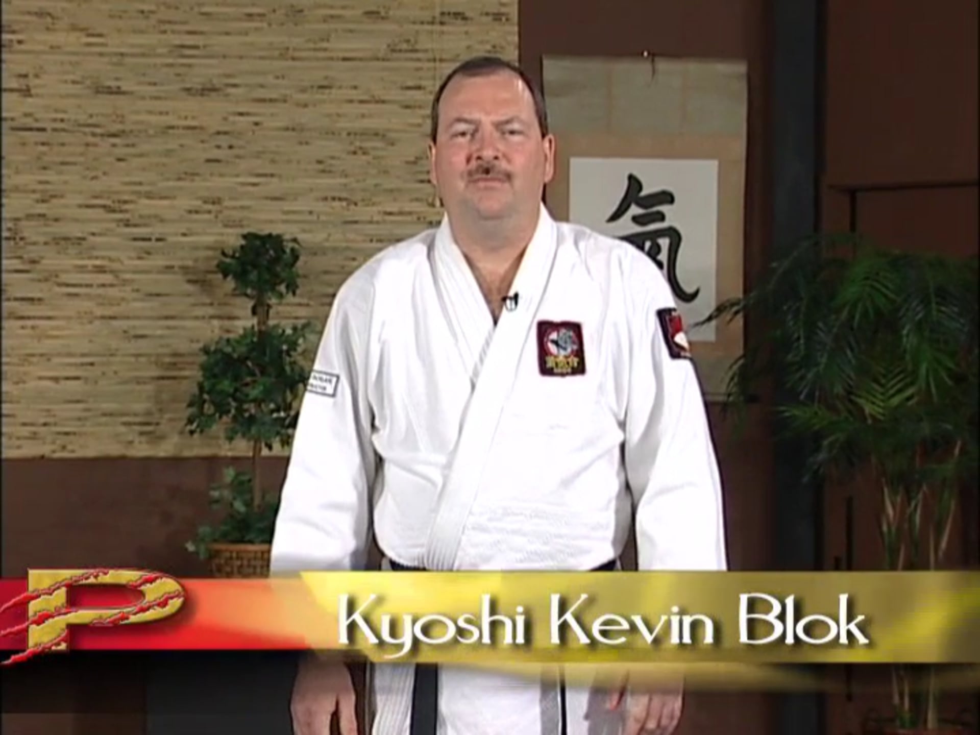 Kevin Bloc - Advanced Aikido