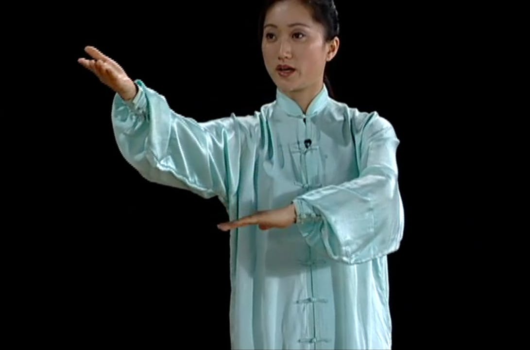 Li Jing Yang Ten Movements and Self Defense Kung Fu & Tai Chi Martial Arts Drills