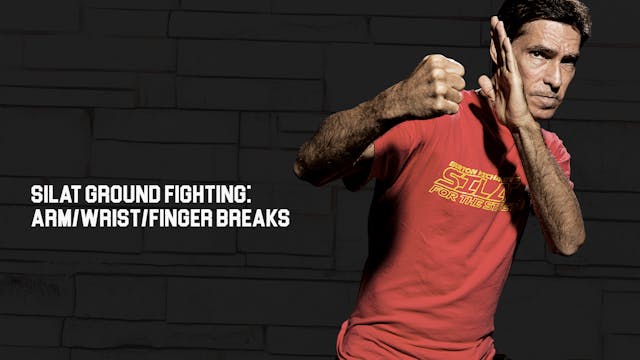 Silat Ground Fighting: Arm/Wrist/Finger Breaks