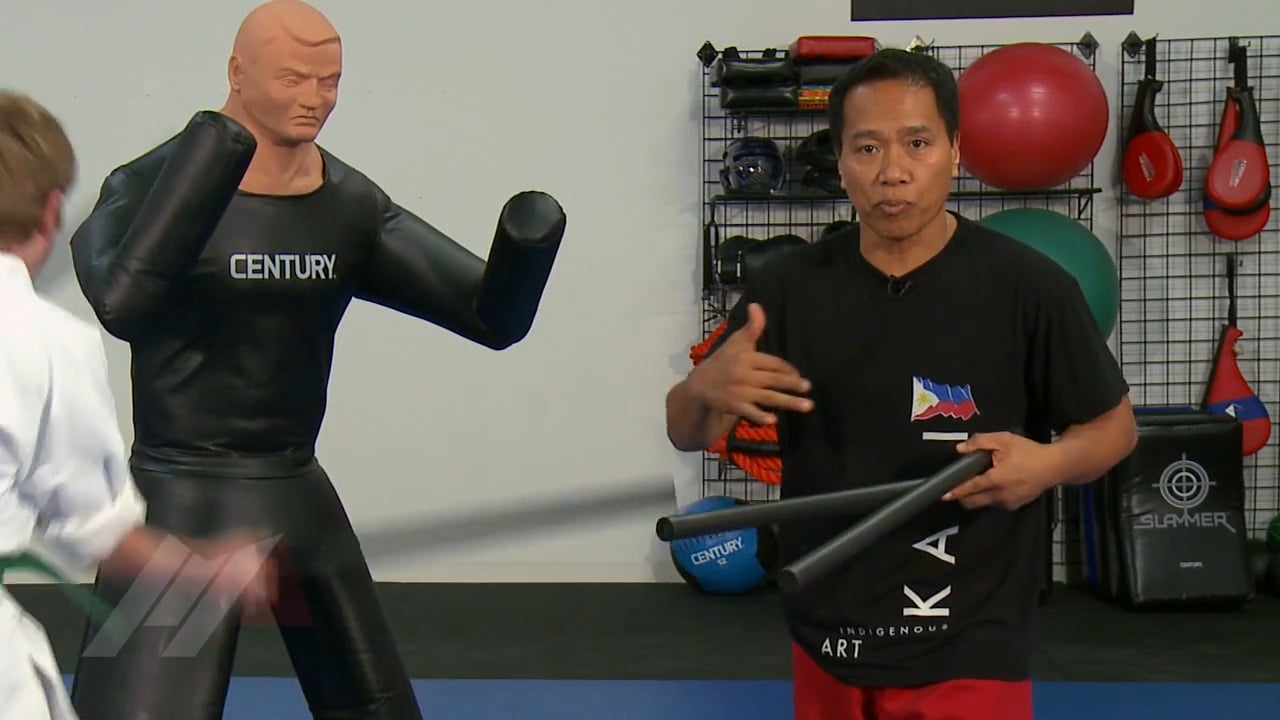 Apolo Ladra - Entry 4 on a Bag