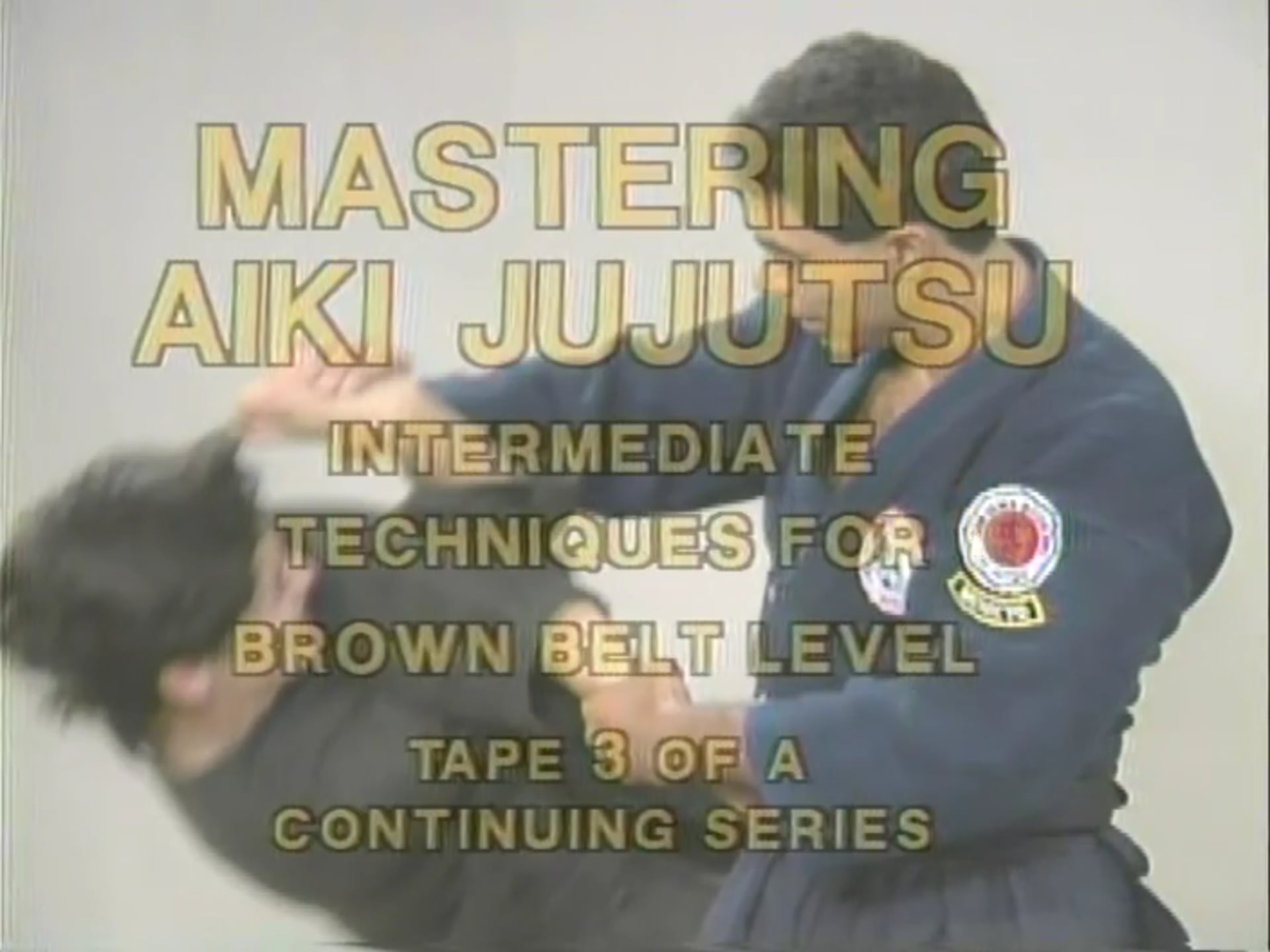 Miguel Ibarra - Interdemdiate Techniques for Brown Belts Level 1