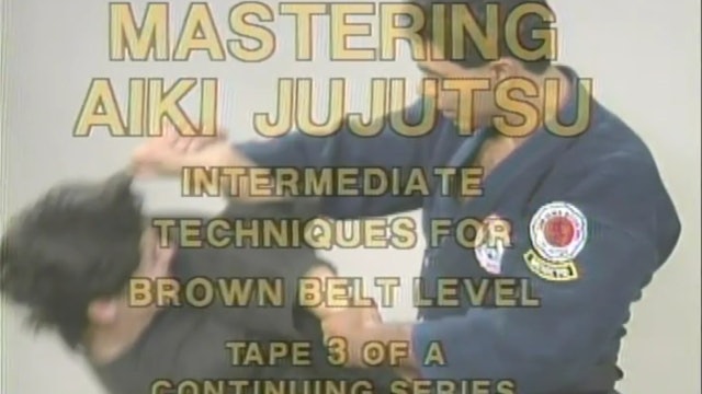 Miguel Ibarra - Interdemdiate Techniques for Brown Belts Level 1