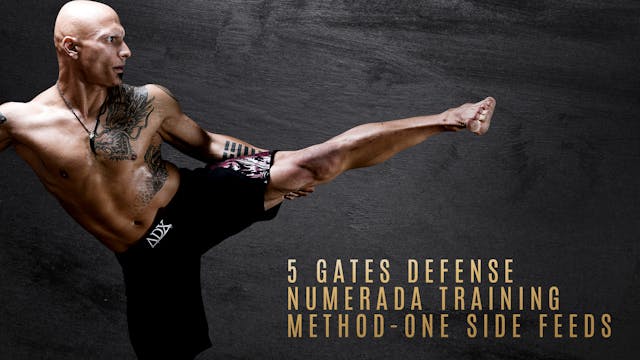 5 Gates Defense - Numerada Training Method - One Side Feeds